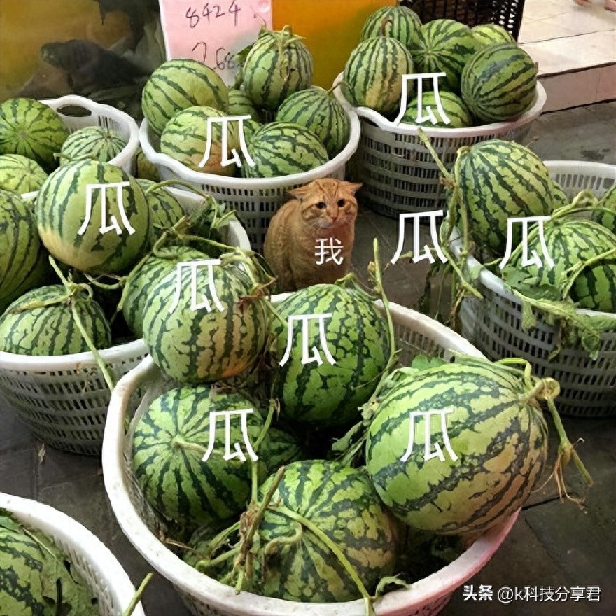 吃瓜软件有哪些？吃瓜软件哪个最火？国内外吃瓜软件排行榜